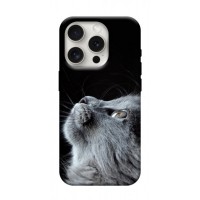 Чохол з картинкою Cute cat для Apple iPhone 16 Pro Max (6.9")