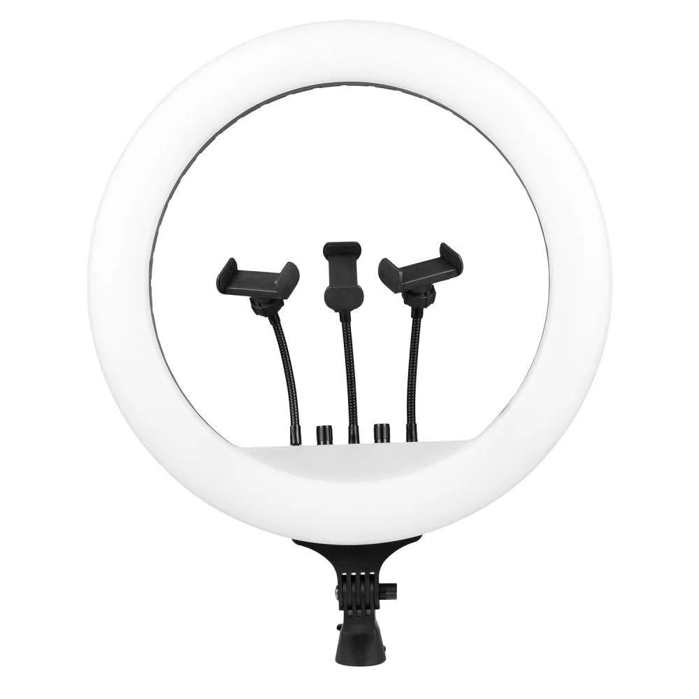 Лампа Fill Light 45cm Remote RL-18