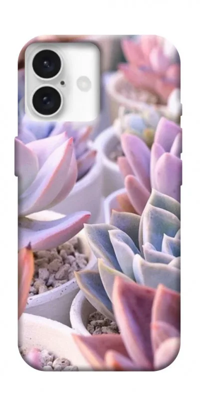 Чохол BLEX з картинкою Ехеверія 2 для Apple iPhone 16 (6.1