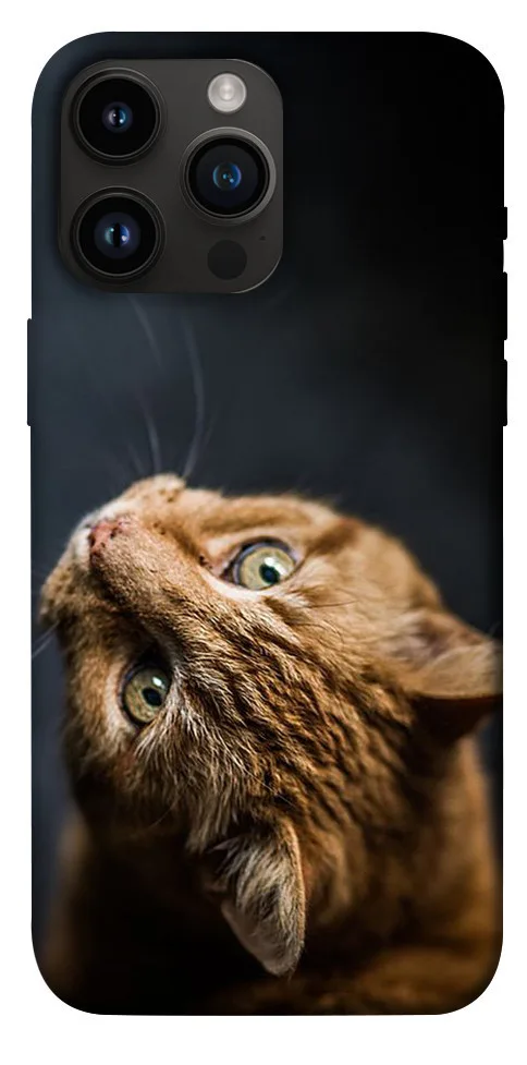 Чохол BLEX Рудий кіт для iPhone 14 Pro Max (6.7