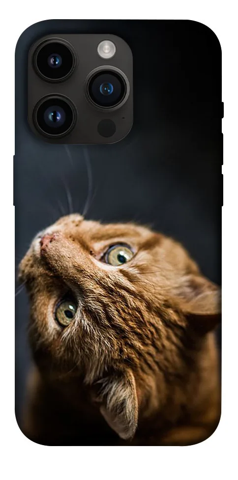 Чохол BLEX Рудий кіт для iPhone 14 Pro (6.1