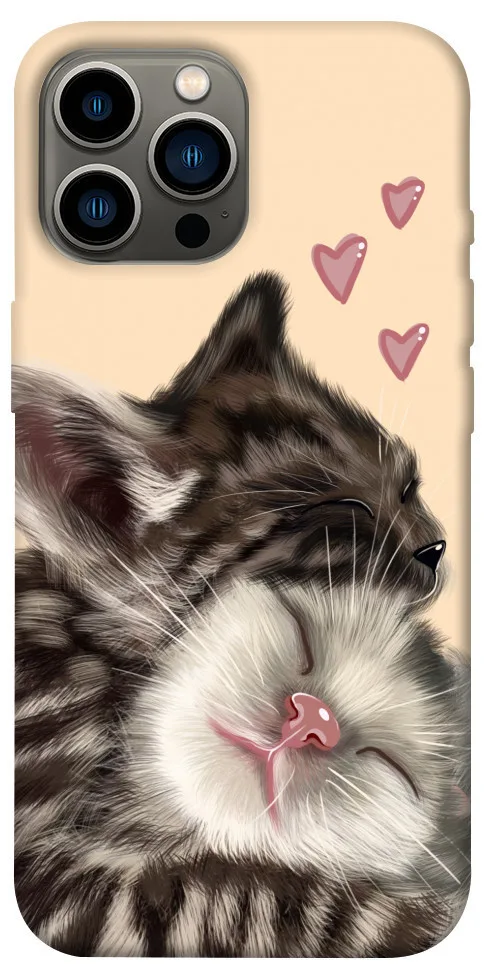 Чохол BLEX Cats love для iPhone 12 Pro Max (6.7