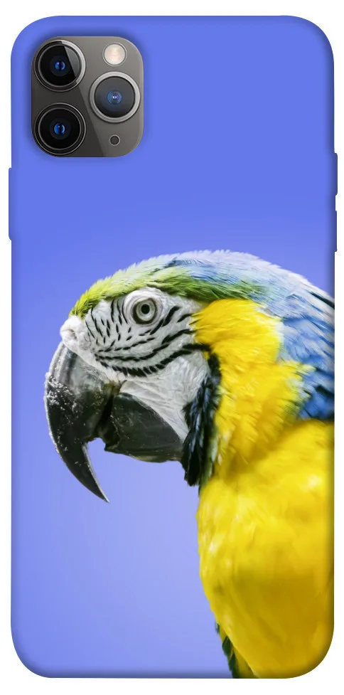 Чохол BLEX Папуга ара для iPhone 12 Pro (6.1