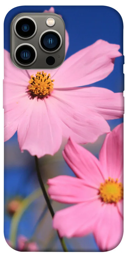 Чохол BLEX Рожева ромашка для iPhone 12 Pro Max (6.7